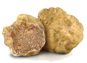 Tartufo Bianco Pregiato - OTTOBRE a DICEMBRE