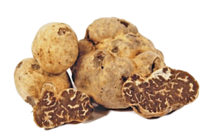 Tartufo Bianchetto - FEBBRAIO fino a inizio Aprile